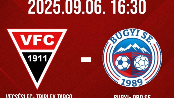 Pest Vármegyei I. Osztályú Felnőttbajnokság