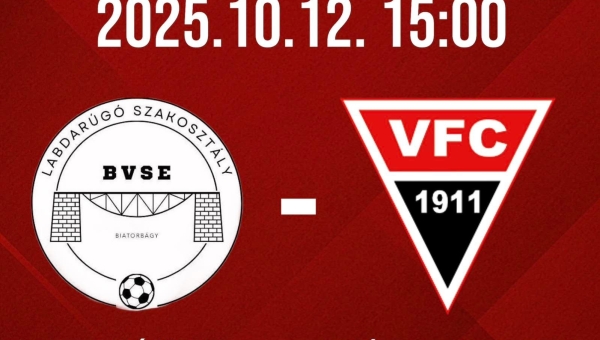 Pest Vármegyei I. Osztályú Felnőttbajnokság