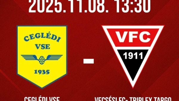 Pest Vármegyei I. Osztályú Felnőttbajnokság