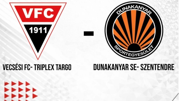 Pest Vármegyei I. Osztályú Felnőttbajnokság